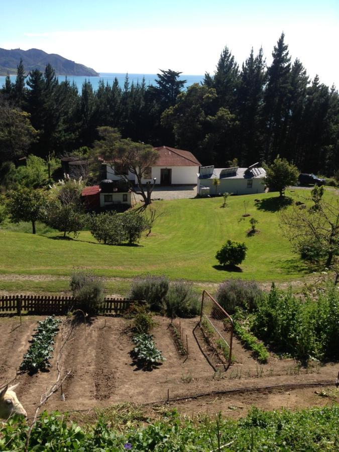 Waipiro Bay Paradise Bed and Breakfast Te Puia Exterior foto