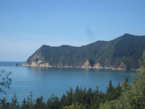 Waipiro Bay Paradise Bed and Breakfast Te Puia Exterior foto