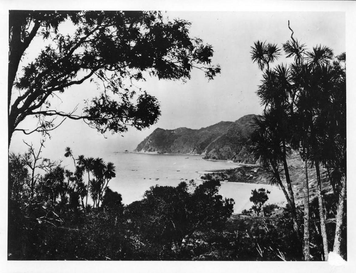 Waipiro Bay Paradise Bed and Breakfast Te Puia Exterior foto